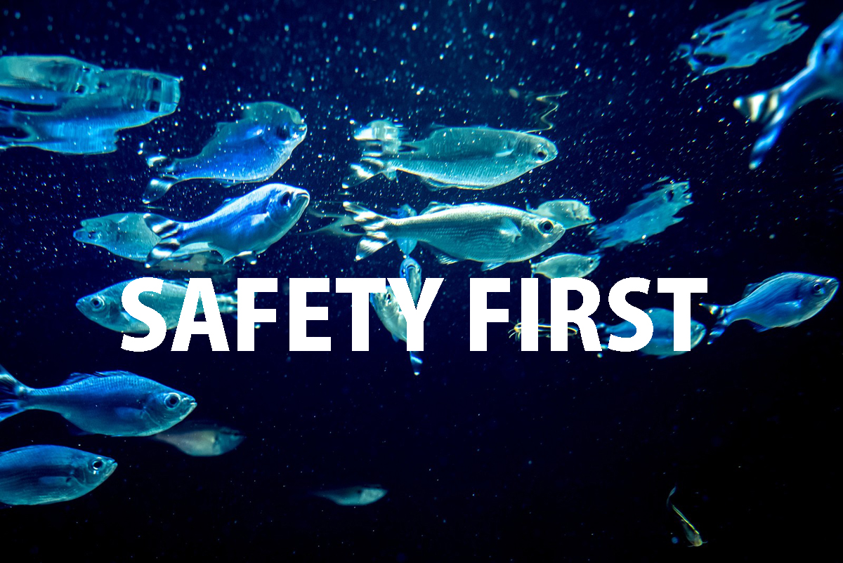 セーフティファースト