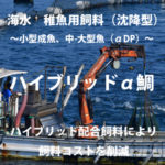 ハイブリッドα鯛