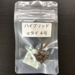 ハイブリッドαタイ４号